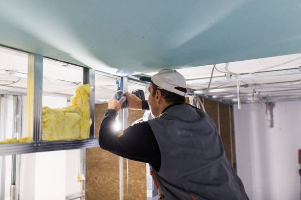 Best Geographic-Specific Insulation Services in Chapman, KS