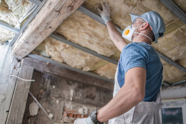 Best Commercial Insulation in Chapman, KS